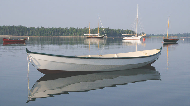 Shearwater on mooring