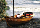 11 2 shellback dinghy photo d