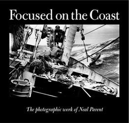 Focused on the Coast - hurt