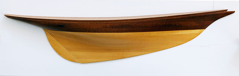 Half Model Plan MINERVA