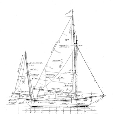 18'6  Garden's Eel - STUDY PLAN-