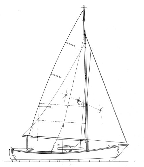 Sjogin profile