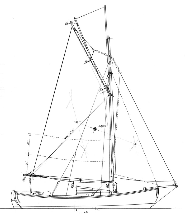 21' Sjogin  STUDY PLAN -