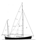 21' Sjogin  STUDY PLAN -