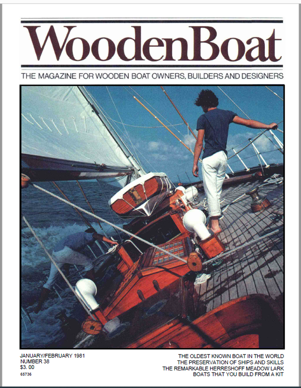 Issue #38 Jan/Feb 1981